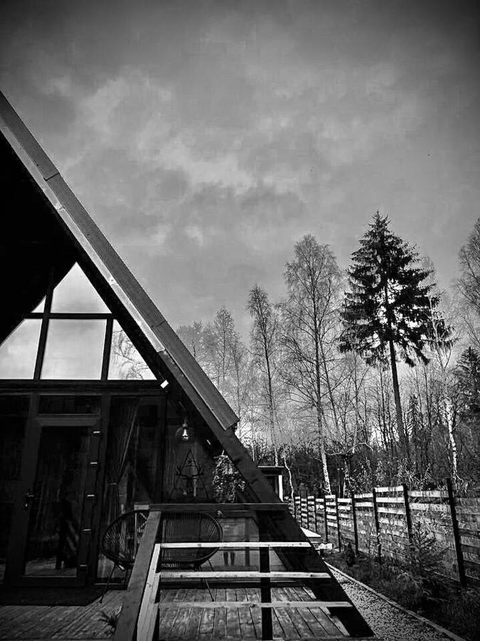 Zenith A-Frame Straja Villa Lupeni  Exterior photo